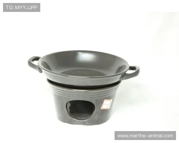 凯发游戏入口官网网址官方入口导航，轻松找到最安全的登录通道