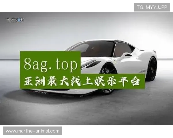 AG真人网官网注册流程详解，轻松开启您的线上真人娱乐体验之旅