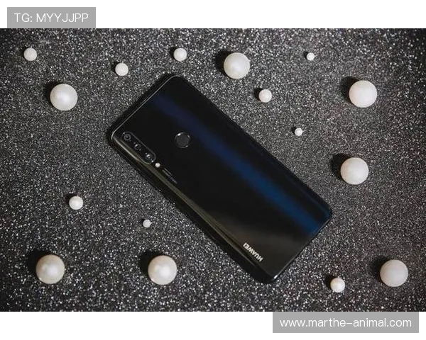 PA网址视讯平台最新安全登录指南帮助玩家轻松访问畅享高清直播体验