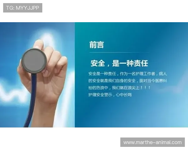 头头体育app登录安全保障措施全面解析,确保用户信息安全与账号无忧