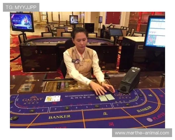 澳门棋牌娱乐活动多样化：创新玩法与技术融合带来全新娱乐体验