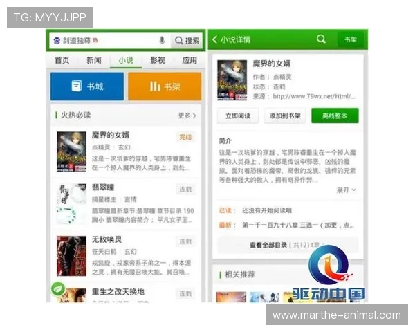 K8视讯官网下载入口全面解析，确保每位玩家都能顺利体验