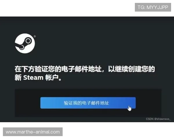 AG启航厅下载官网最新版本下载地址及安全验证方法全攻略